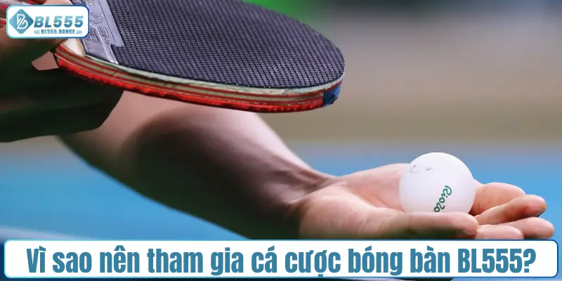 Vì sao nên tham gia cá cược bóng bàn BL555?